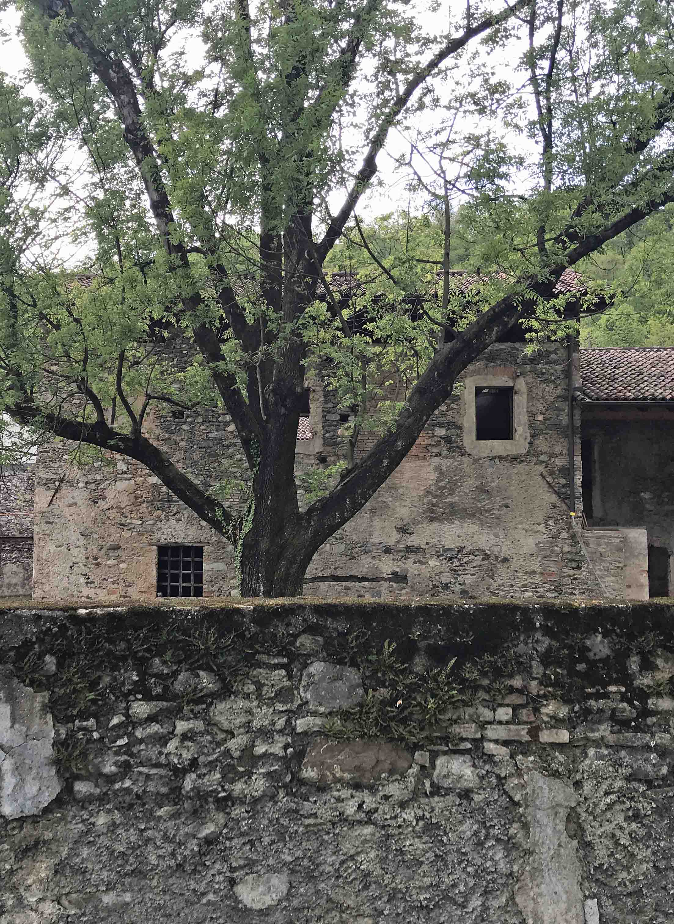 La masseria del castello di Trevano